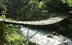 曲靖师宗凤凰谷生命文化主题公园旅游攻略之吊桥