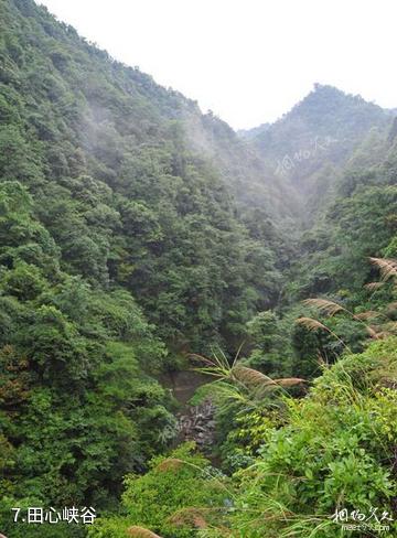 江西九连山国家森林公园-田心峡谷照片
