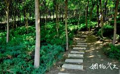 天津南翠屏公园旅游攻略之登山步道