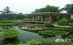 中科院北京植物园旅游攻略之水生和藤本植物区