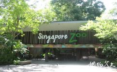 新加坡旅游攻略之新加坡动物园