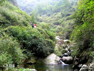 十堰九华山森林公园-水杉溪照片