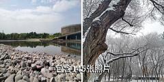 奎屯润民生态园驴友相册
