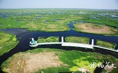 大庆龙凤湿地自然保护区旅游攻略之龙凤湿地