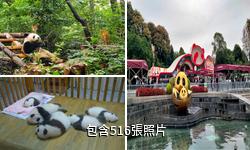 成都大熊貓繁育研究基地驢友相冊