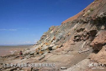 加拿大喬金斯化石斷崖照片