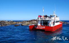 南非海豹岛旅游攻略之游船