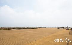 天津港東疆建設開發紀念公園旅遊攻略之觀光木棧道平台