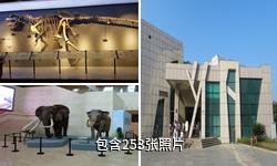 重庆自然博物馆驴友相册