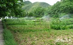 重慶藥用植物園旅遊攻略之重慶藥用植物園