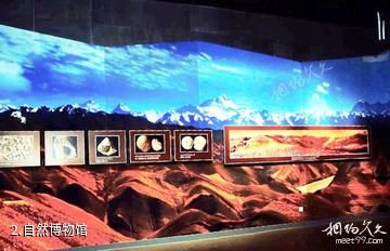 西藏自然博物馆-自然博物馆照片