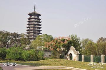 贾汪卧龙泉生态园-腾龙塔照片