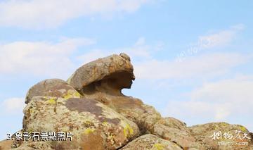 哈巴河哈龍溝景區-象形石照片