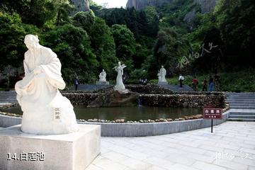 江西汉仙岩风景区-白莲池照片