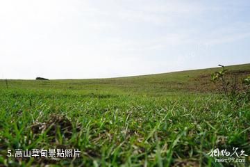 廣西平天山國家森林公園-高山草甸照片