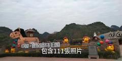 德保矮馬王國驢友相冊