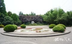 上海永清公园旅游攻略之植物景观