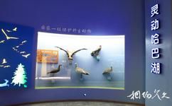 宁夏盐池哈巴湖生态旅游攻略之博物馆