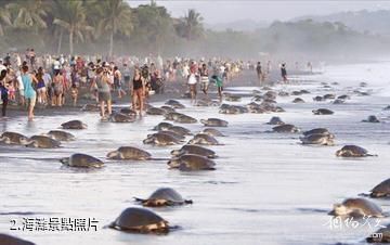 奧斯蒂奧納爾國家野生動物保護區-海灘照片