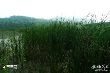 铜川福地湖景区-芦苇荡照片