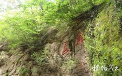 抱犢崮國家森林公園旅遊攻略之巢雲洞