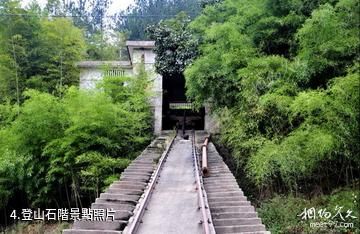 遂昌湖山森林公園-登山石階照片