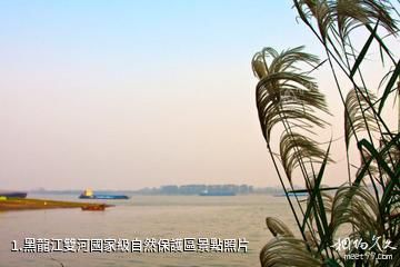 黑龍江雙河國家級自然保護區照片
