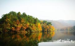 信阳灵龙湖生态文化旅游攻略