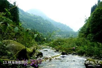 什邡鎣華山風景區-林海照片