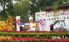 成都望江楼公园旅游攻略之竹文化节