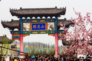 滨州邹平樱花山风景区-邹平樱花山照片