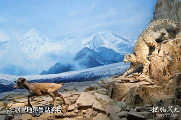 青藏高原自然博物館-冰雪地帶照片