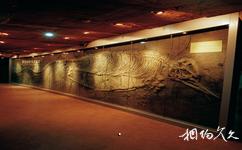河南省地质博物馆旅游攻略之鱼龙