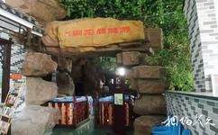 上海游龍石文化科普館旅遊攻略之游龍問石洞