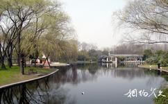 上海共青森林公园旅游攻略之水乡映秀