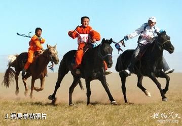 錫林郭勒盟蘇尼特右旗社保局旅遊點-賽馬照片