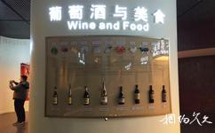宁夏张裕摩塞尔十五世酒庄旅游攻略之葡萄酒博物馆