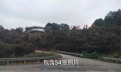 郫县战旗5季花田旅游景区驴友相册