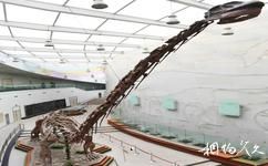 陝西自然博物館旅遊攻略之古生物長廊