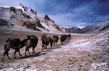 新疆乔戈里峰-阿格拉达坂照片
