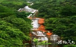 遵義赤水竹海國家森林公園旅遊攻略之聖女瀑布