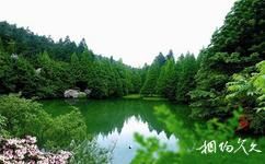 浙江天台山旅游旅游攻略之华顶国家森林公园