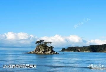 紐西蘭阿貝爾·塔斯曼國家公園-托倫特灣照片