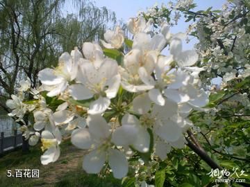临沂盛能游乐园-百花园照片