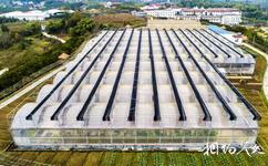 忠县三峡橘乡田园综合体旅游攻略之生态蔬果园