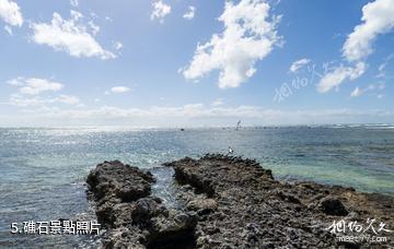伊利特夫人島海底風光-礁石照片