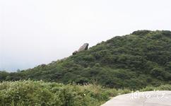 南嶺國家級自然保護區旅遊攻略之蛤蟆石