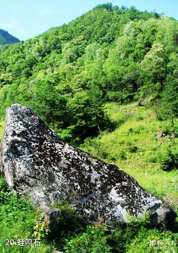 陕西黑河国家森林公园-蛙鸣石照片