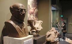 天津自然博物館旅遊攻略之桑志華