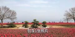 胶东半岛海滨风景名胜区驴友相册
